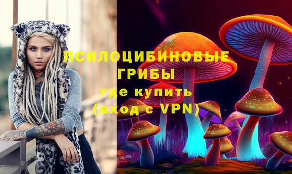 PSILOCYBIN Бугульма